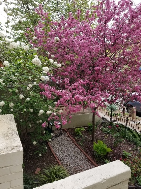 Photo - 1745 Kilbourne Pl NW (Washington, DC)