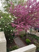 Building Photo - 1745 Kilbourne Pl NW