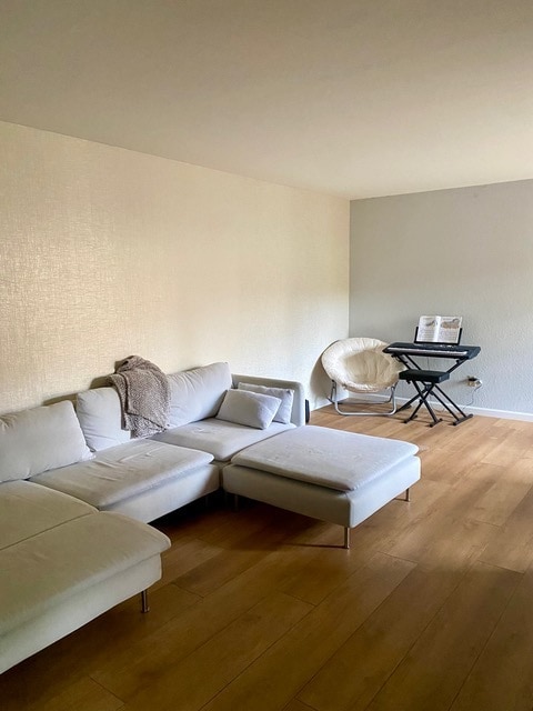 Livingroom - 4419 Via Amable