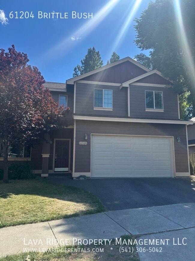 Foto del edificio - 61204 Brittle Bush St