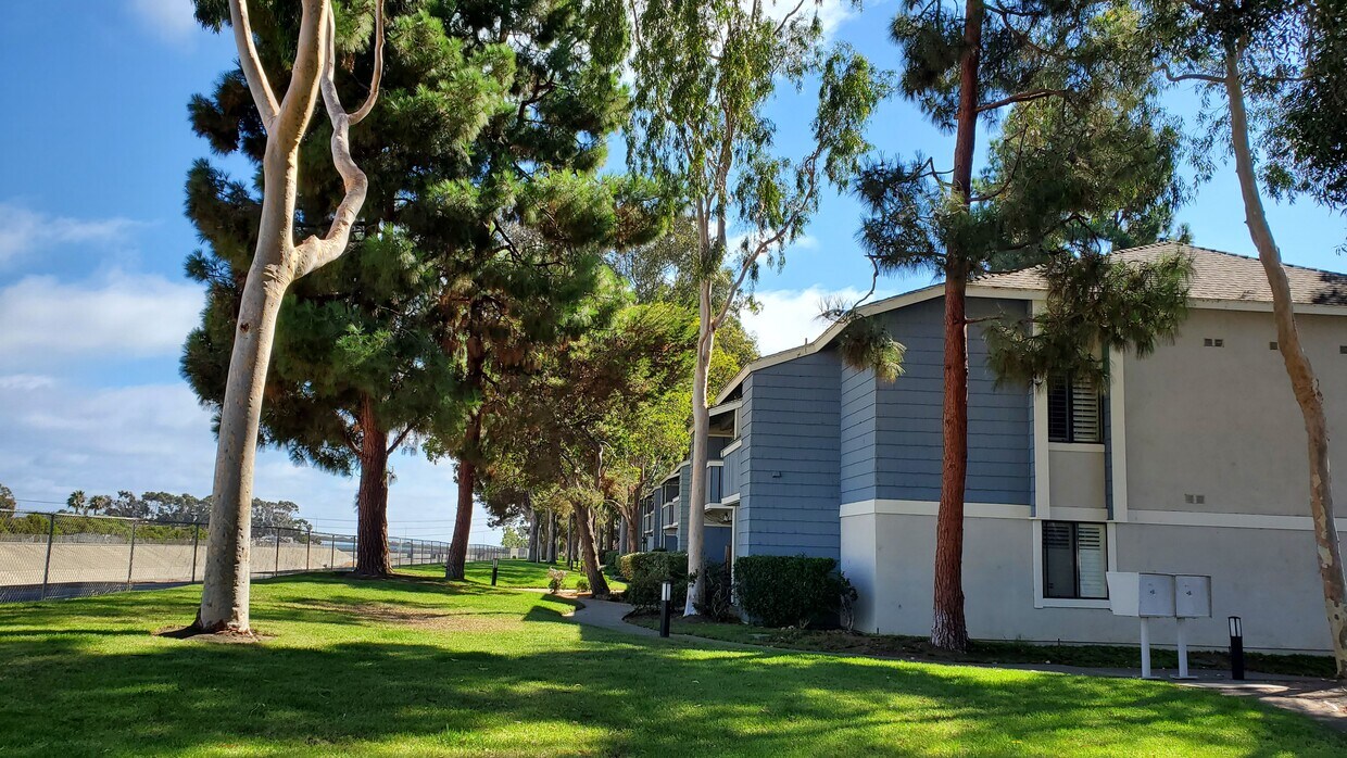 25611 Quail Run Unit 110, Dana Point, CA 92629 Condo for Rent in Dana