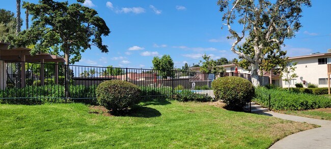 Hermosos árboles y exuberantes jardines alrededor de la piscina en Plaza Verde Apartments en Escondido, California. - Plaza Verde
