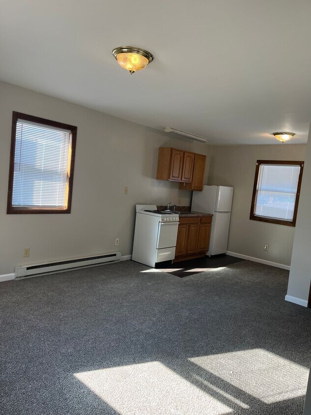 1040 Third St Unit Apt 5, Washingtonville, PA 17821 Room for Rent in