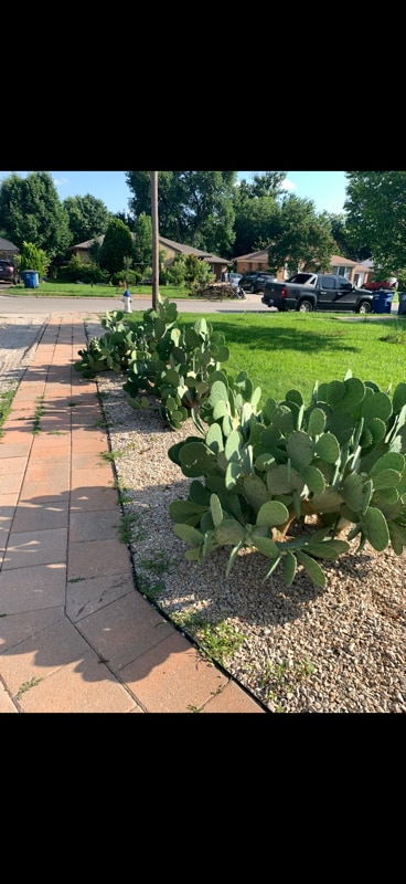 Building Photo - 3739 Almazan Dr