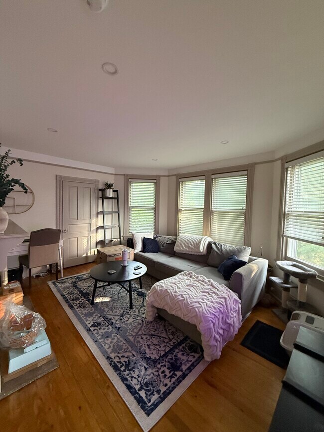 Sala de estar - 207 Cricket Ave