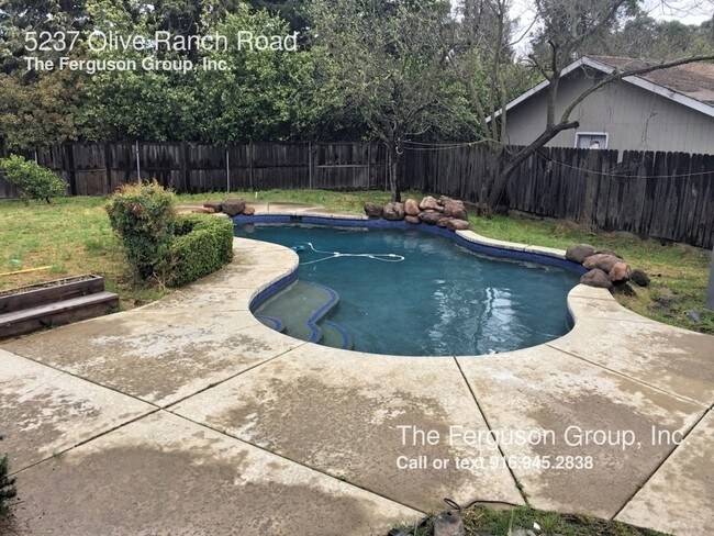 Foto del edificio - 5237 Olive Ranch Rd