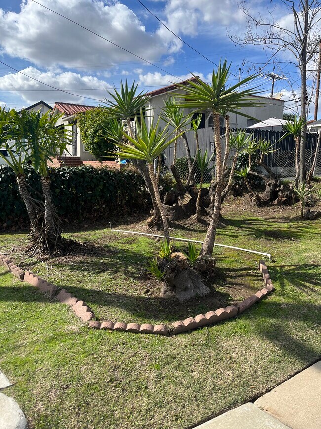 Front yard - 2735 Montezuma Ave