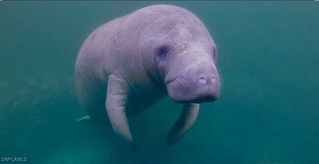 Foto del edificio - 333 Sunrise Cay