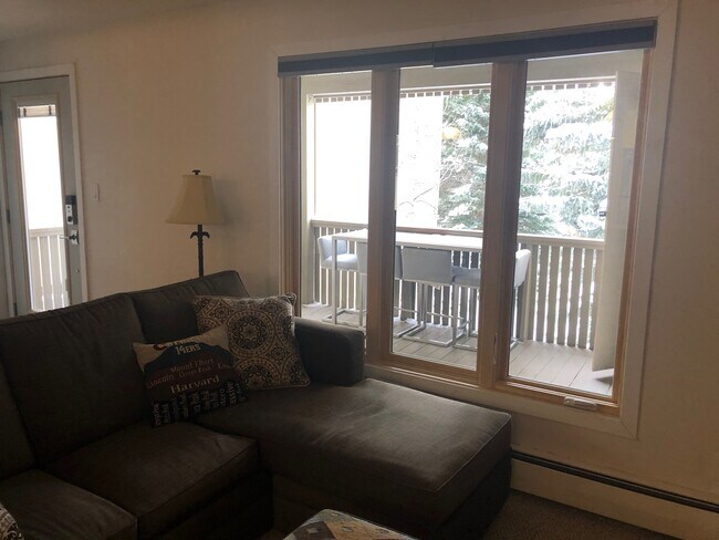 bright window to deck and park - 601 S West End St