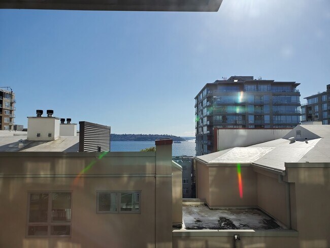 Vista desde la cocina - 2911 2nd Ave