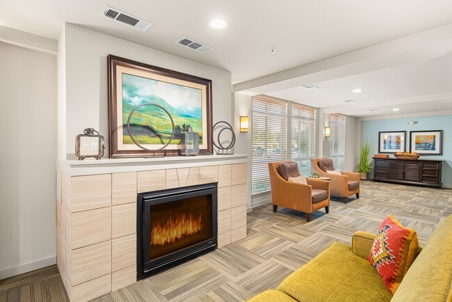 Building Photo - Affinity at Wells Branch 55+
