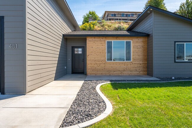 Building Photo - Brand New 3 Bed, 2 Bath Modern Home in Pel...