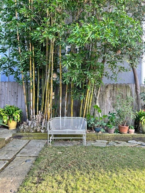 Front Yard - 3470 Tilden Ave
