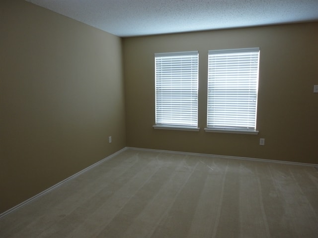 Building Photo - 2113 Lone Pecan Drive
