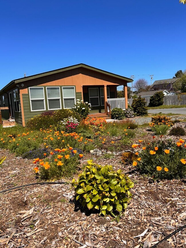 Foto del edificio - Mckinleyville 3 Bedroom, 2 bath Single Lev...