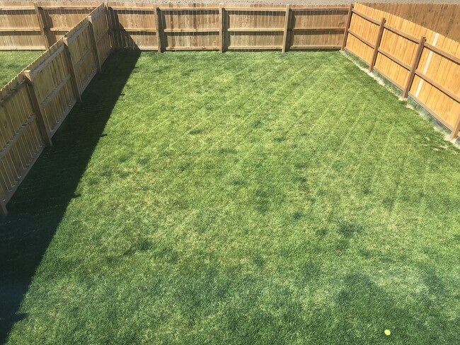 Foto del edificio - 507 Foxtail Pl