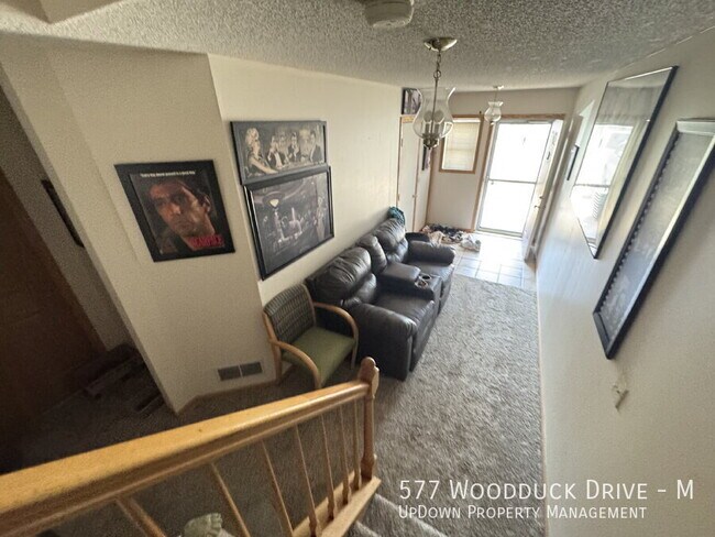 Foto del edificio - 577 Woodduck Dr