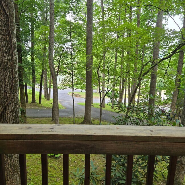 Foto del edificio - 2 Bed 1.5 Bath North Johnson City Duplex S...