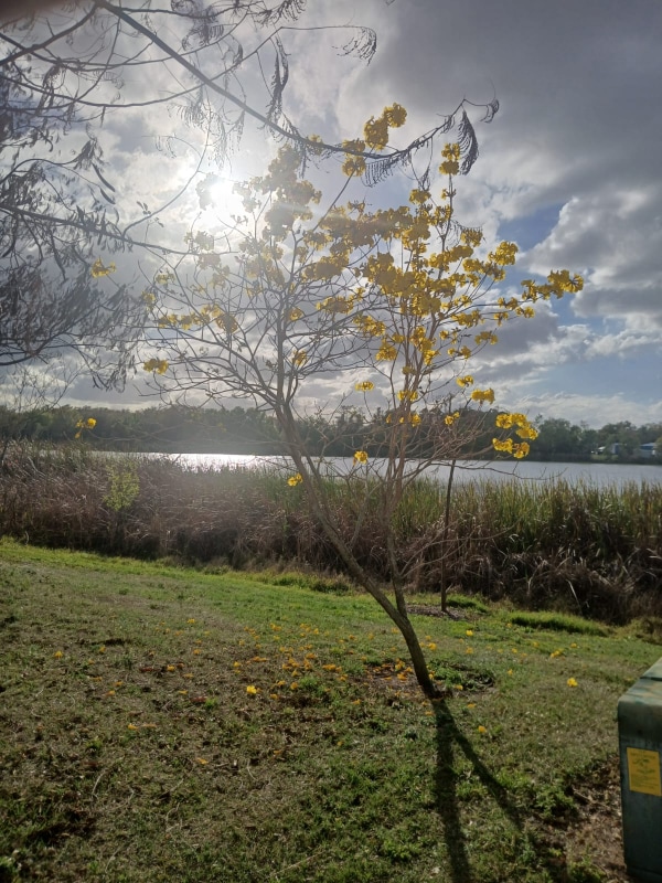 Photo - 4308 Aqua Vista Dr (Orlando, FL)