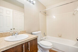 Interior Photo - Coral Falls