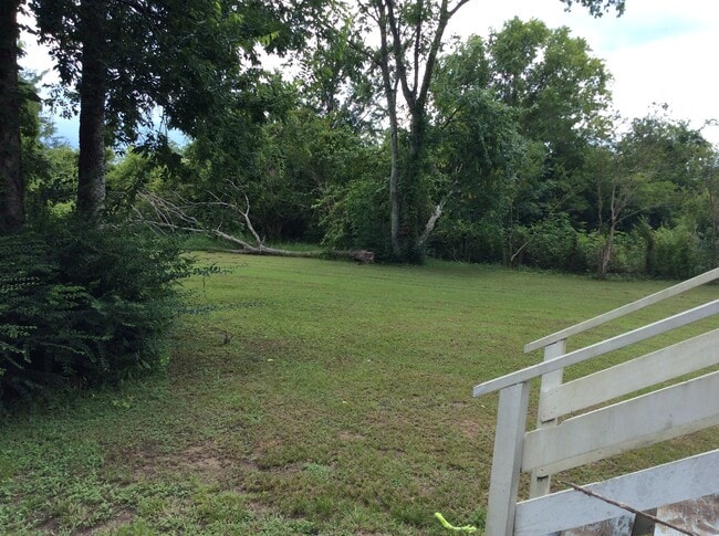 Backyard - 12421 Green Ridge Dr