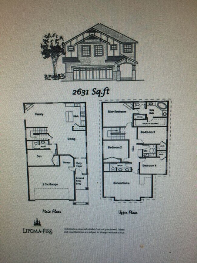 Building Photo - Lipoma Firs 5 bedroom with full bath on main.