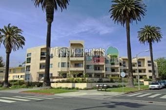 Primary Photo - 311 Ocean Ave