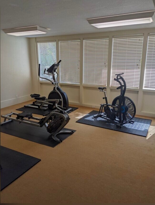 fitness center - 219 4th St N