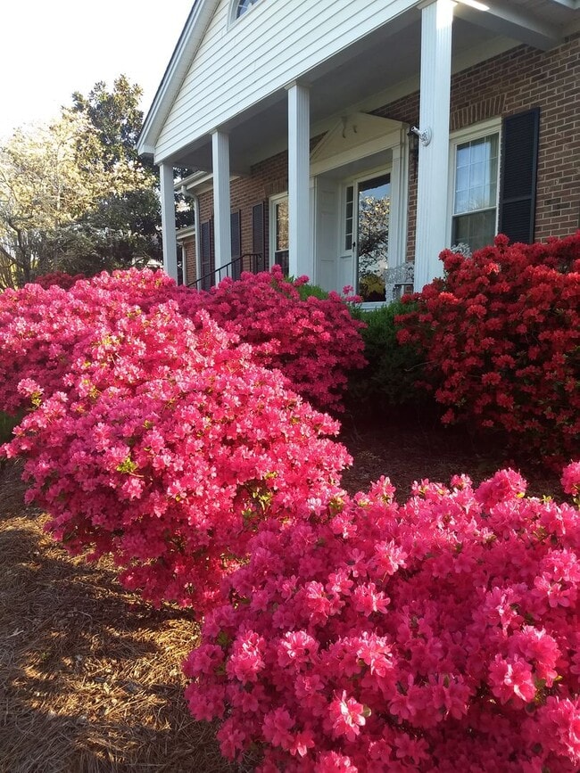 Building Photo - Beautiful 5 Bedroom 3 Bathroom House on Country Club Golf Course!