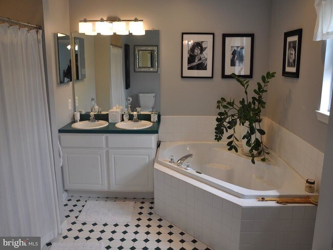 Foto del edificio - 36 Timbercrest Dr