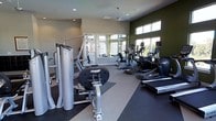 This fitness center is a thoughtfully designed single-floor space built to accommodate a comprehensive workout experience. The room features a contemporary aesthetic, highlighted by a bold olive-green accent wall that contrasts with the neutral tones of the surrounding walls and ceiling. Large windows line the upper portion of the walls, flooding the space with abundant natural light while offering views of the surrounding exterior. A ceiling fan overhead aids in air circulation, contributing to a comfortable exercise environment.

The layout is divided into distinct functional zones. Along one side, a multi-station cable and weight machine—branded by Hoist—provides options for a variety of strength training exercises. The opposite side of the room is dedicated to cardiovascular equipment, including treadmills, elliptical trainers, and stationary bikes, all arranged in a row to maximize floor space. The flooring consists of durable rubber mats in contrasting tones, designed to withstand heavy equipment and provide traction during workouts. Recessed lighting supplements the natural light, ensuring the space remains well-lit throughout the day. Overall, the fitness center offers a clean, modern, and functional environment well-suited for a range of exercise routines.