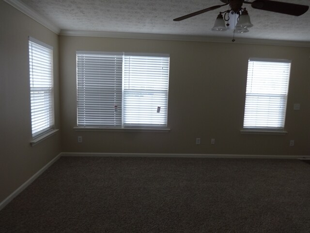 Building Photo - 165 Ilex Dr