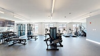 Located at 397 Millburn Ave in Millburn, NJ, this fitness center offers a well-equipped, single-floor exercise space designed to support a comprehensive workout experience. The room features a clean, modern aesthetic with light gray and white walls, durable rubber flooring, and a bright, open layout illuminated by linear LED lighting fixtures mounted along the ceiling.

The cardio section is outfitted with a row of Matrix treadmills, elliptical trainers, and stationary bikes, positioned along the perimeter near large windows that allow natural light to fill the space and provide views of the surrounding streetscape. The strength training area includes a multi-station cable machine, a leg press machine, adjustable weight benches, and a fully stocked dumbbell rack with weights of varying sizes. A floor-to-ceiling mirror runs along one wall, visually expanding the space and aiding in form correction during workouts. A wall-mounted flat-screen television is positioned above the dumbbell station for added convenience.

Additional training tools include a TRX suspension system mounted to the wall, offering functional fitness options. Glass entry doors provide a welcoming entrance, while the overall design maintains a streamlined, professional gym atmosphere. The space is thoughtfully arranged to allow for ample circulation and safe use of all equipment simultaneously.