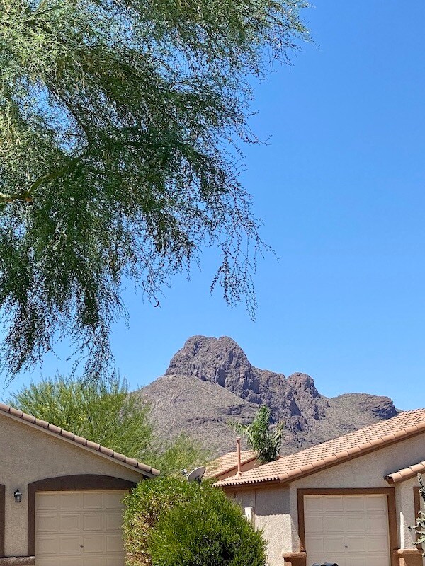 Foto del edificio - 8771 N Finfrock Dr