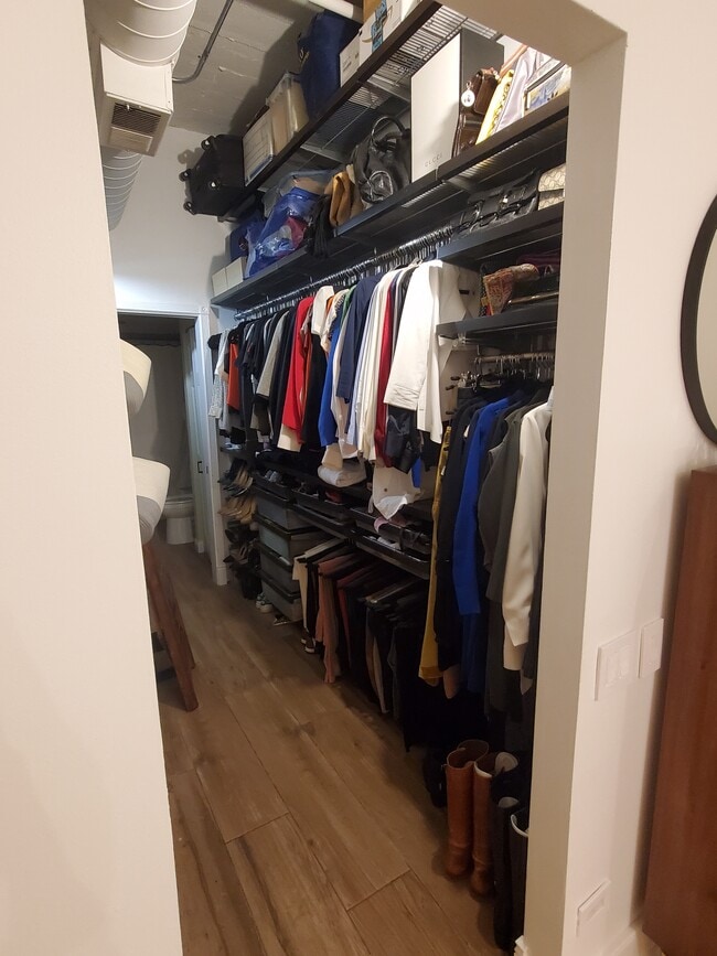 Walk in Closet - 523 S Plymouth Ct