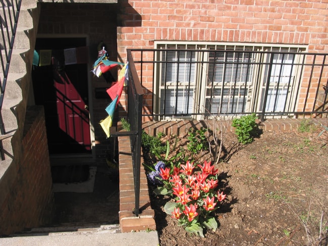 Photo - 1653 Park Rd NW Apartment