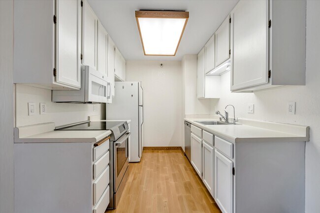 Building Photo - 240 N Bayshore Blvd