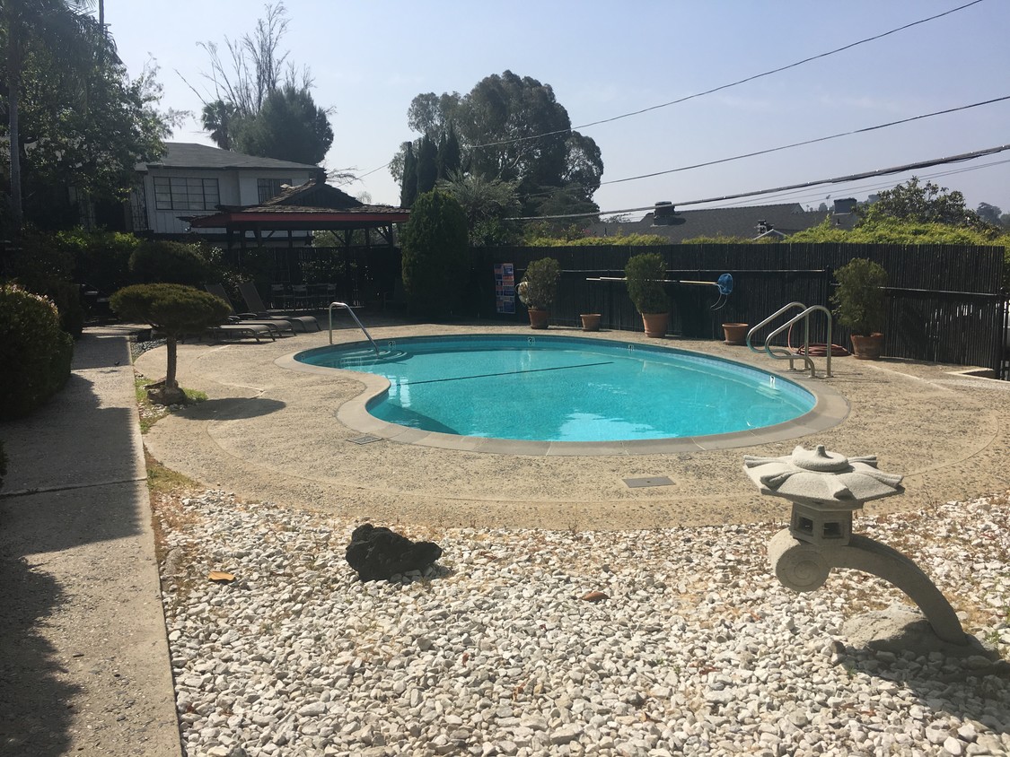 The pool. - 3320 Griffith Park Blvd