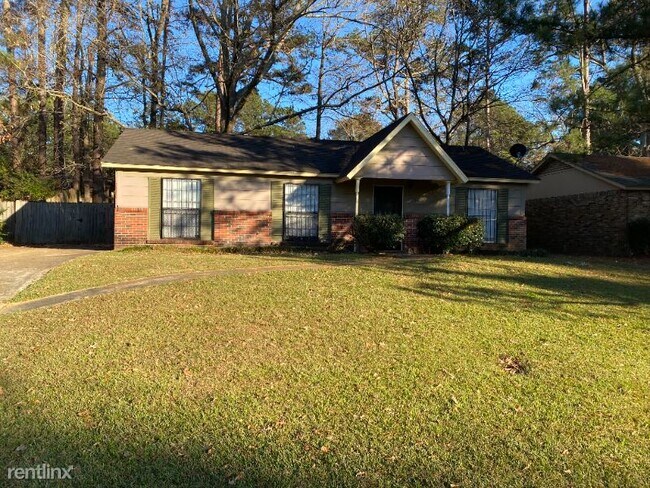Building Photo - 3 br, 1 bath House - 3996 Will O Run Dr