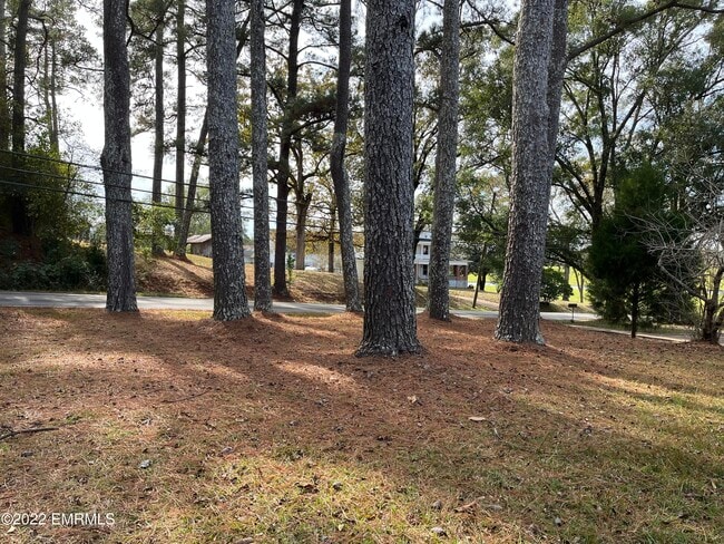 Building Photo - 3509 Causeyville Rd