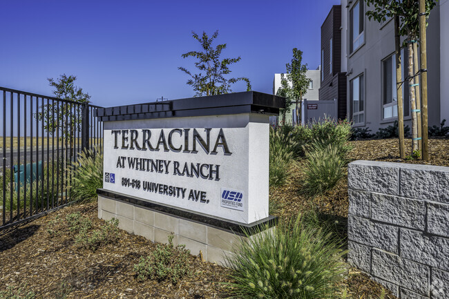 Signage - Terracina at Whitney Ranch