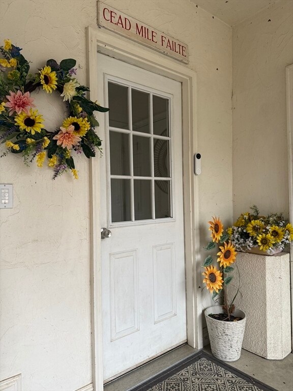 Foto del edificio - 79 Freeman Rd