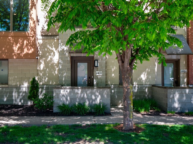 Building Photo - 1471 Lindazzo Ave