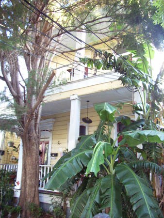 Building Photo - 232 Bermuda St