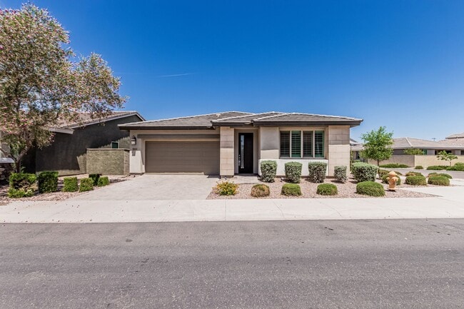 Building Photo - Single Story Home in Eastmark