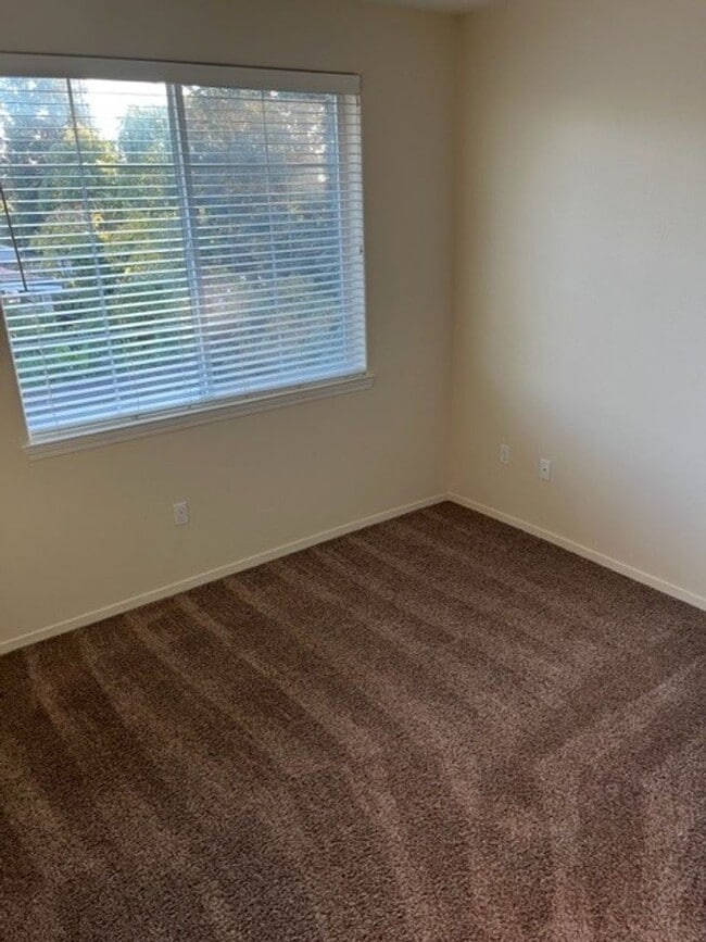 Interior Photo - Luxe Ripon Apartments