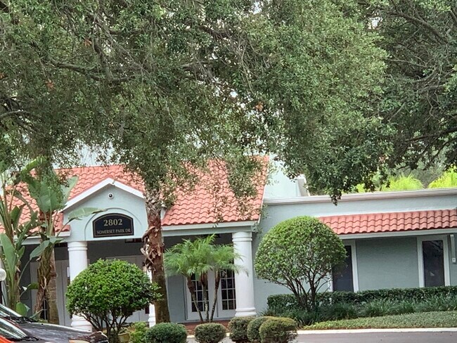 Building Photo - Remodeled condo near USF