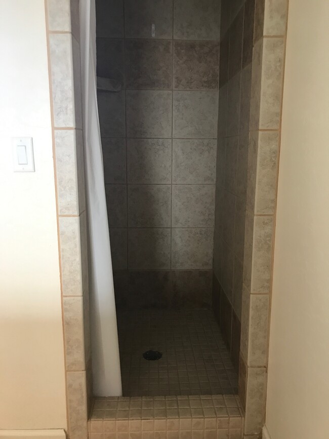 Master bathroom tiled shower. - 175 Divot Dr