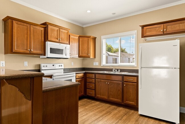 Move-In Ready! A Bright & Open Designer Co... - Move-In Ready! A Bright & Open Designer Co... Apartment