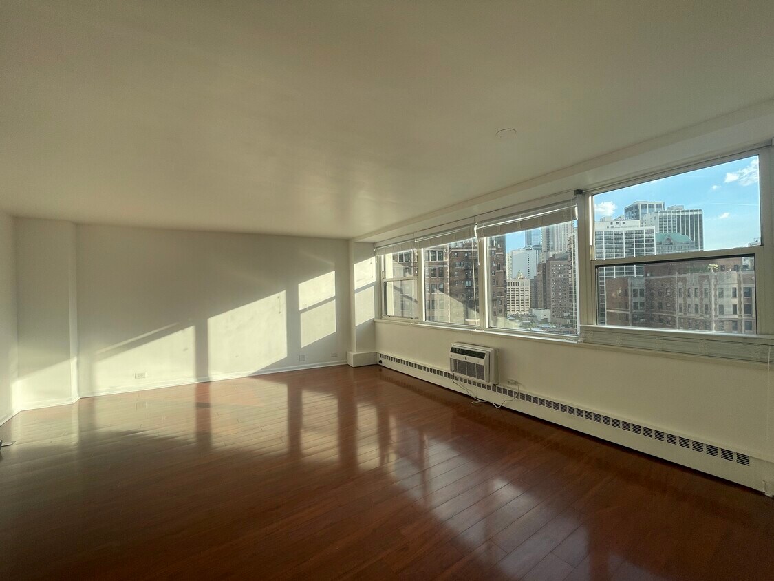 Primary Photo - 1150 N Lake Shore Dr